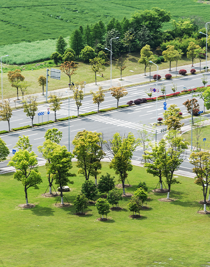 Commercial plot