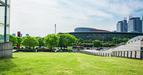 Commercial plot